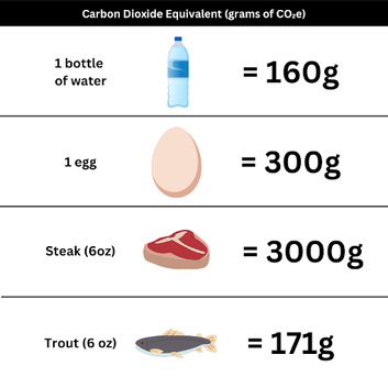 An illustrated table showing that 1 bottle of water yields 160 g of emissions, while 1 egg yields 300 g, a 6-oz steak yields 3,000 g, and 6 oz of trout yields 171 g.